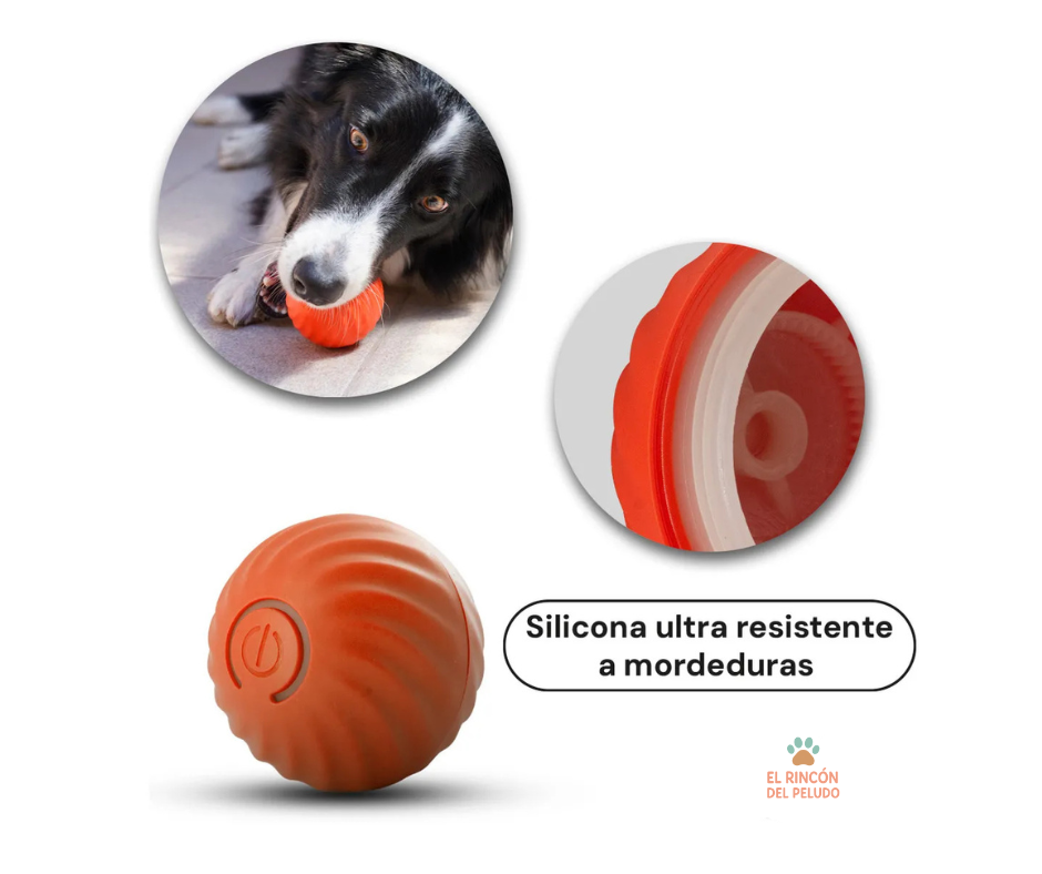 Combo - Pelota Interactiva + Huella Atrapapelos