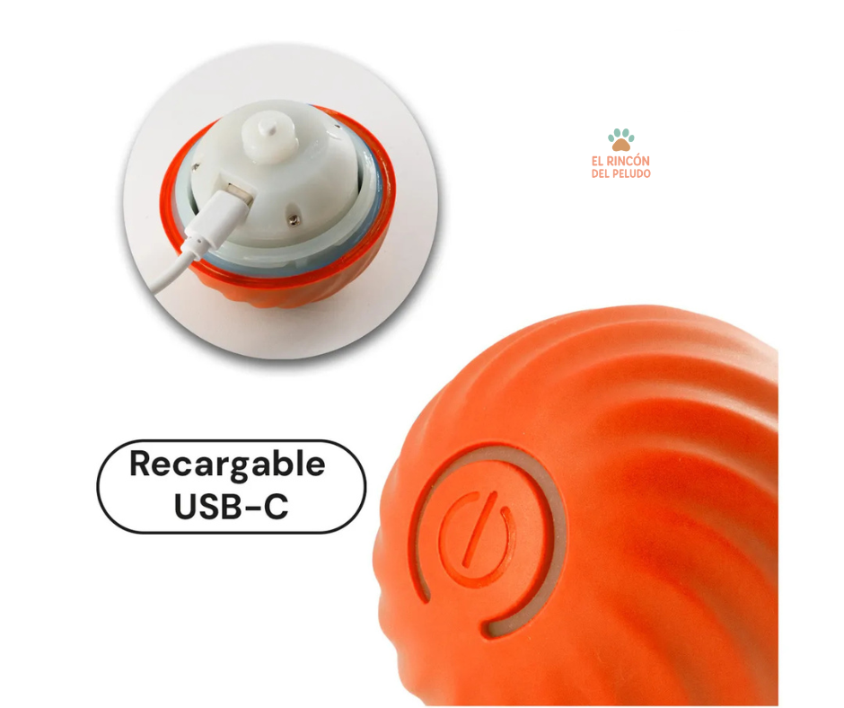 Combo - Pelota Interactiva + Huella Atrapapelos