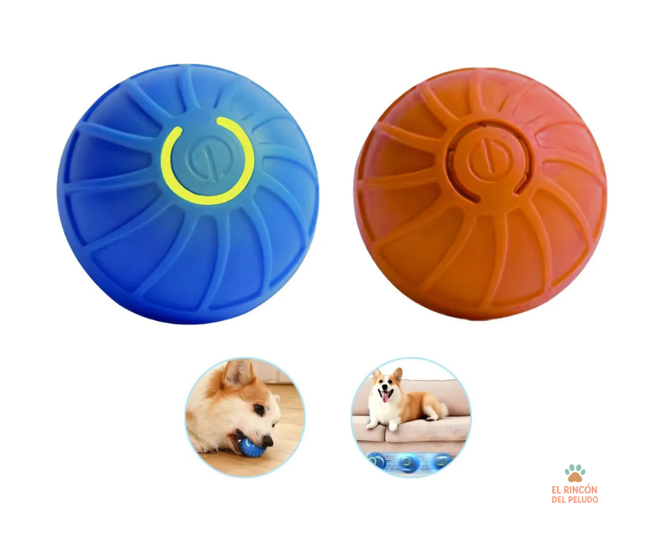 Combo - Pelota Interactiva + Huella Atrapapelos